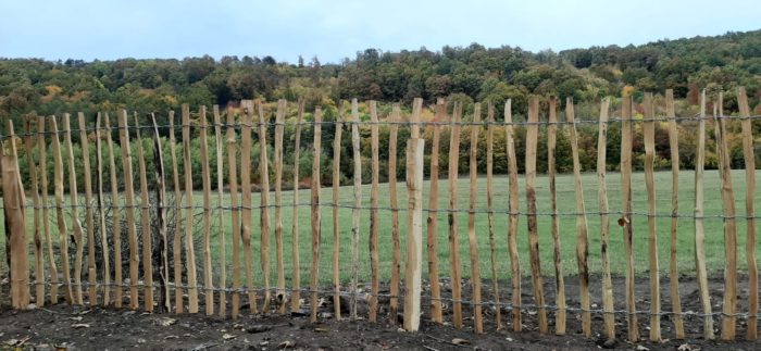dřevěný plot ze štípaného akátu